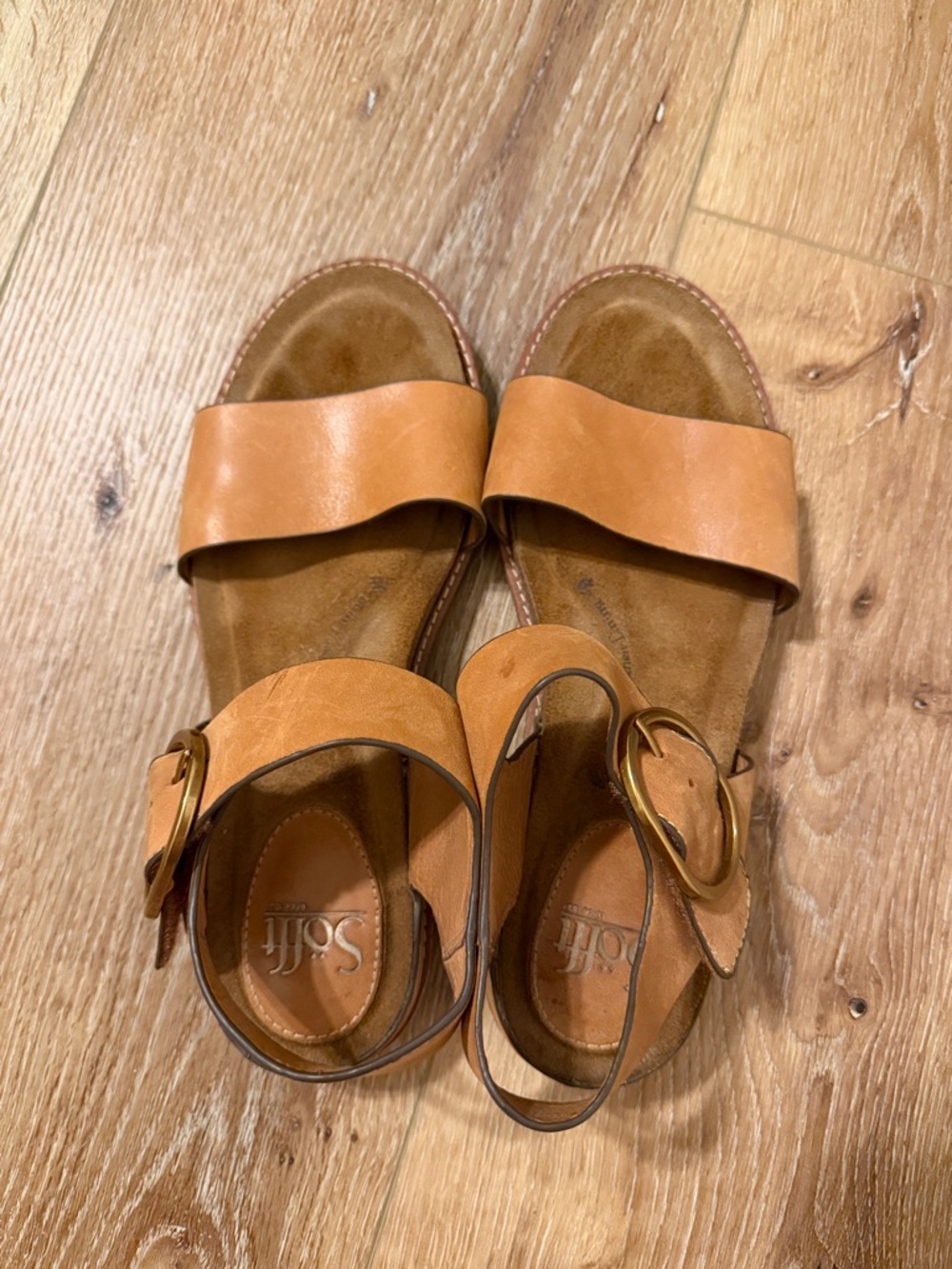Sofft Tan Leather Slide Sandals with Gold Buckle Accent